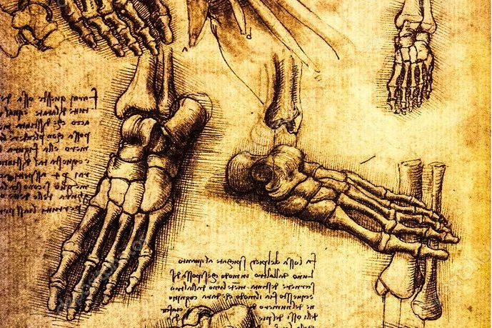 Foot drawing by Leonardo da Vinci